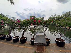 Kunming - Parc Cuihu - 15